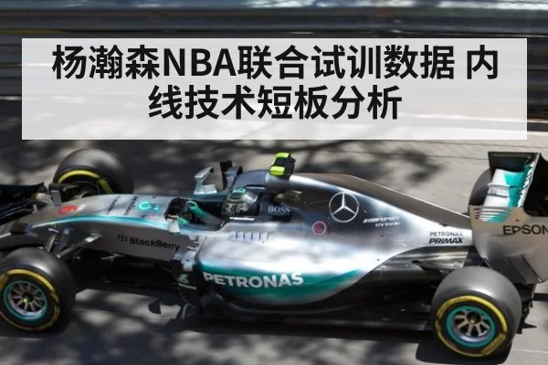杨瀚森NBA联合试训数据 内线技术短板分析