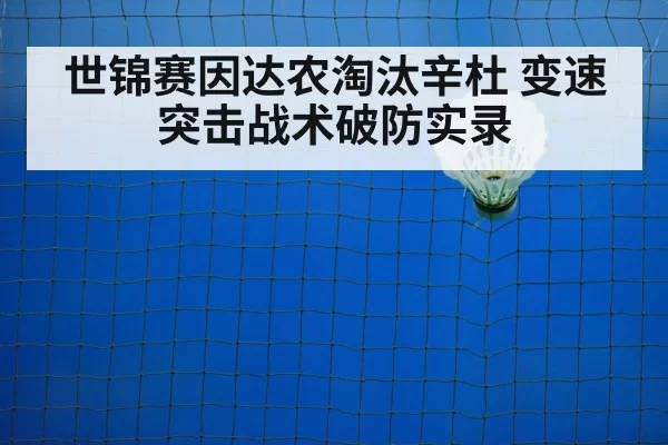 世锦赛因达农淘汰辛杜 变速突击战术破防实录